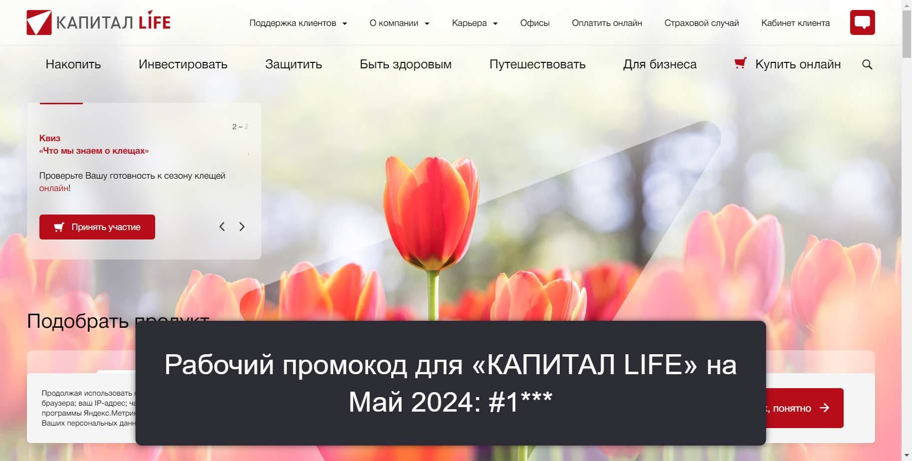 Промокоды на скидку «КАПИТАЛ LIFE» (kaplife.ru): Эксклюзивные купоны с выгодой до -5% на Май 2024
